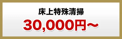 床上特殊清掃