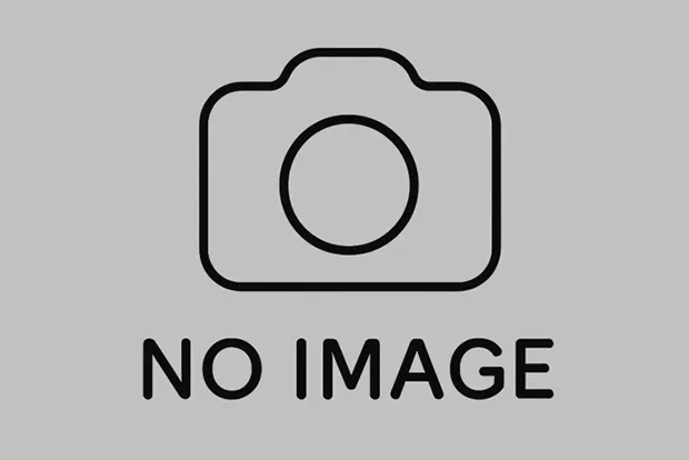 汚染物の撤去・処分